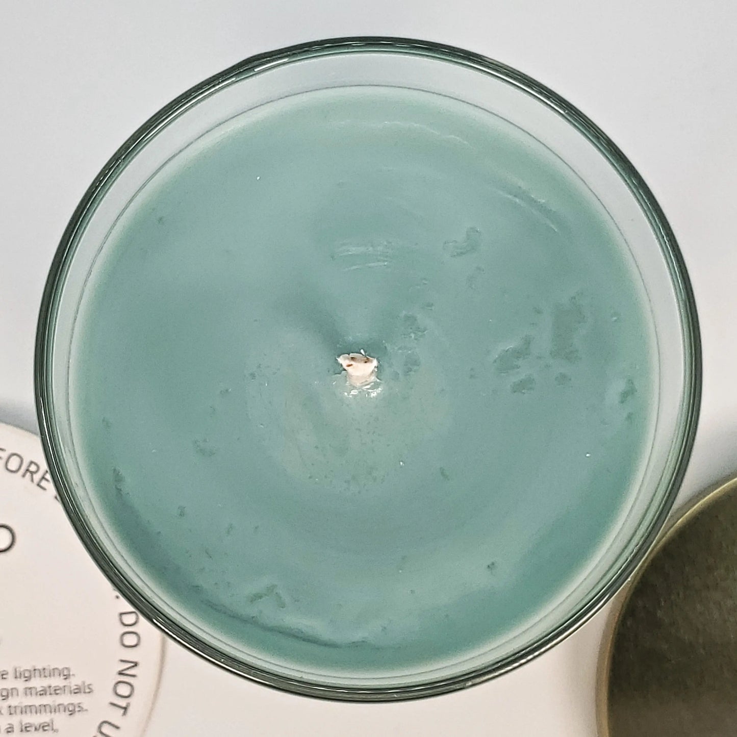 Fog & Fern Soy Candle | Misty Garden Fragrance | 8.5 oz